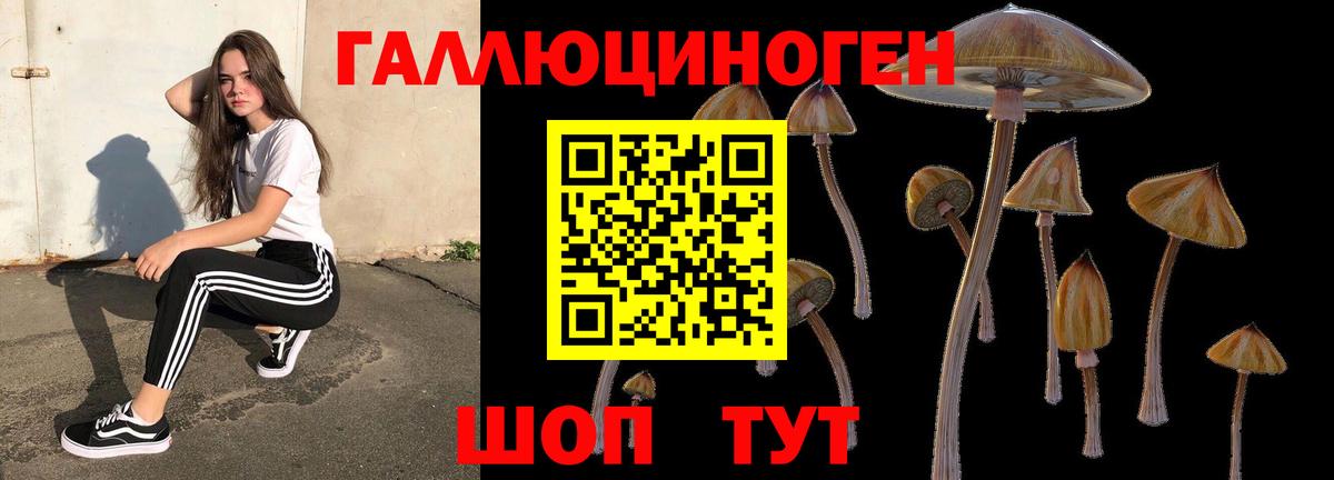 Галлюциногенные грибы мухоморы Алатырь